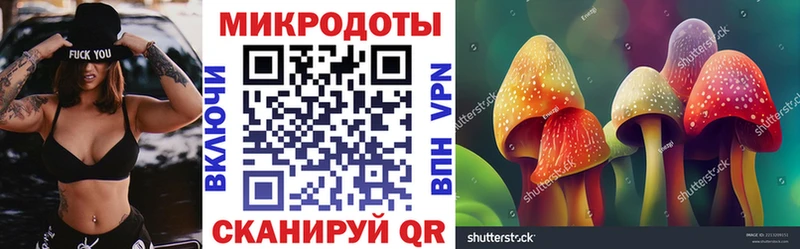 Галлюциногенные грибы Psilocybine cubensis Невельск